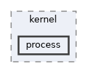 process